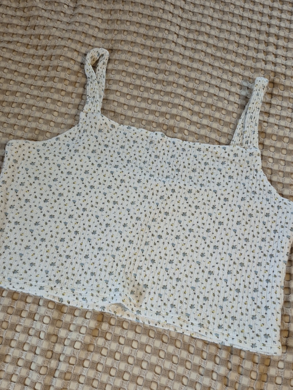 American Eagle Crop Tank Top